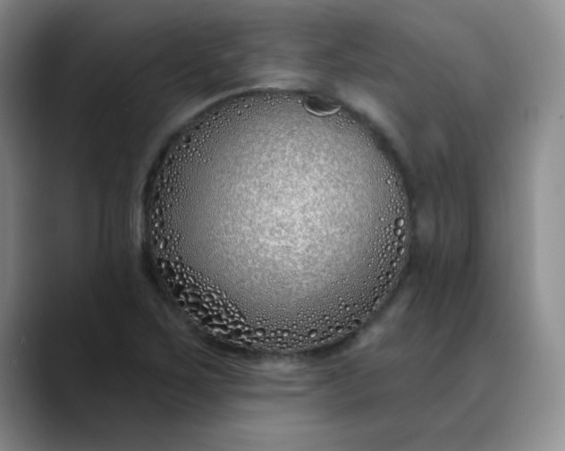 X0000089901267200707121843