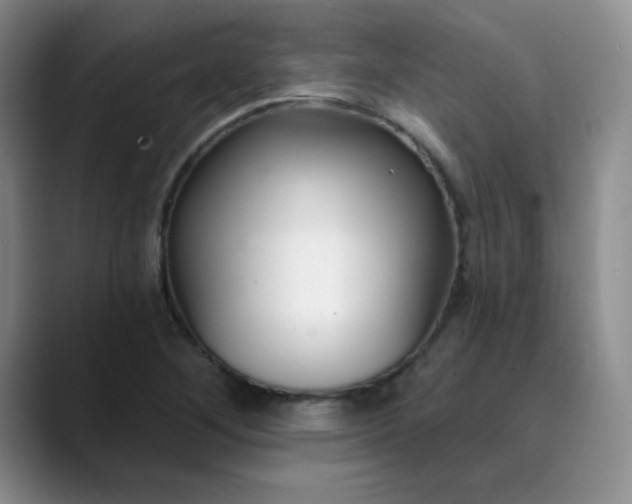 X0000089901268200707121842