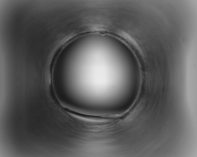 X0000089901269200707121842
