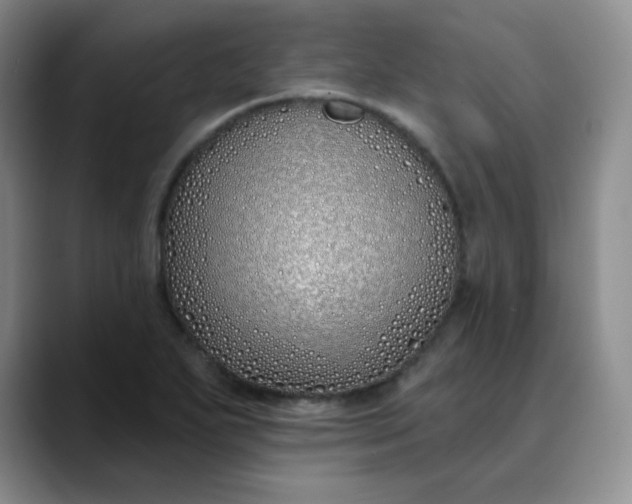 X0000089901271200707121842