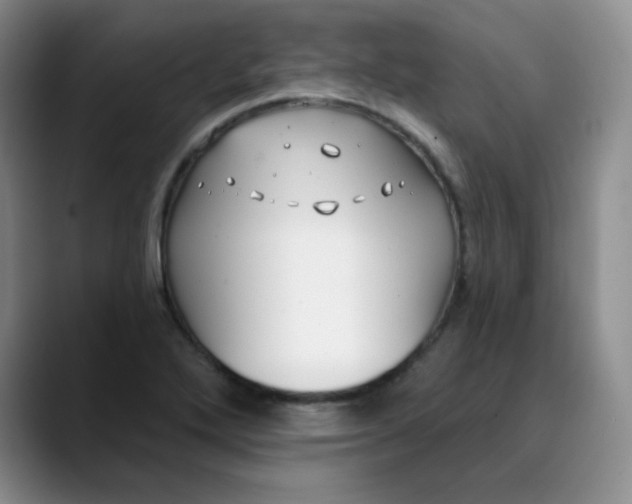 X0000089901272200707121842