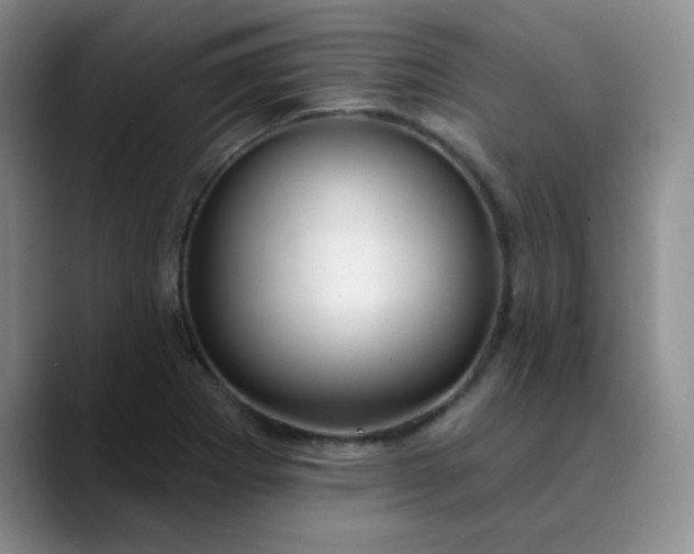 X0000089901273200707121842