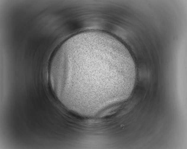 X0000089901274200707121842