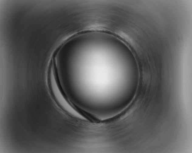 X0000089901277200707121842