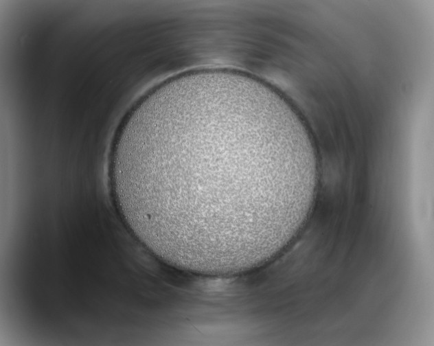 X0000089901278200707121842