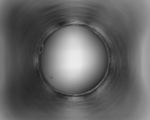 X0000089901281200707121842