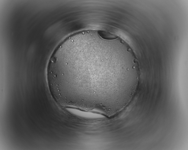 X0000089901283200707121842