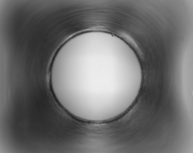 X0000089901284200707121842