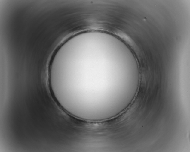 X0000089901286200707121842