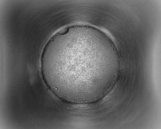 X0000089901287200707121842