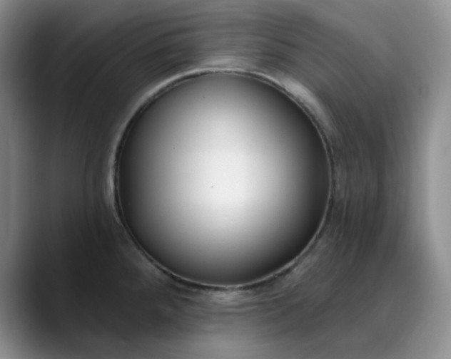 X0000089901288200707121842