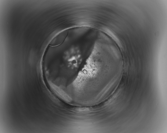 X0000089901291200707121842