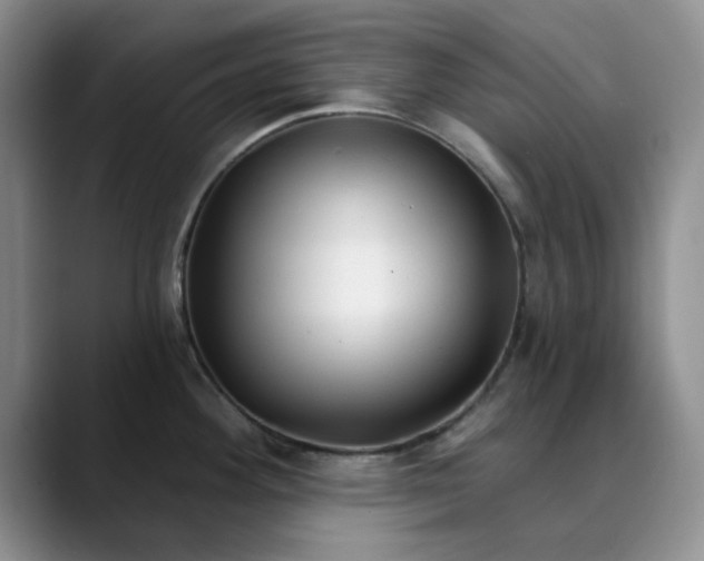 X0000089901292200707121842
