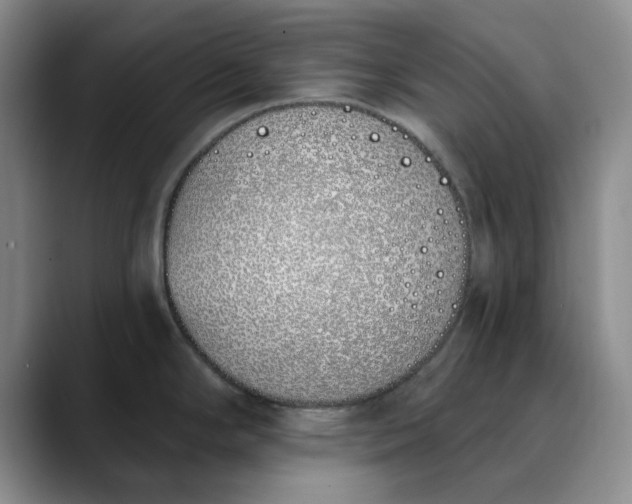 X0000089901294200707121842