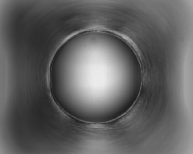 X0000089901295200707121842