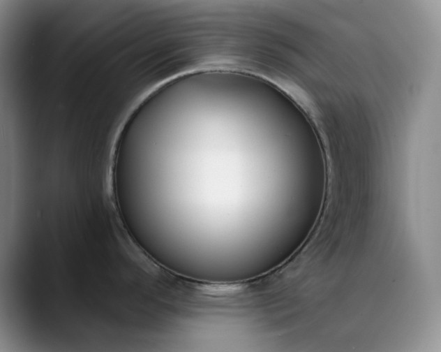X0000089901296200707121842