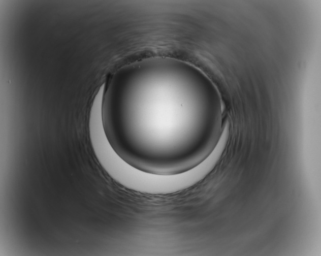 X0000089901298200707121842