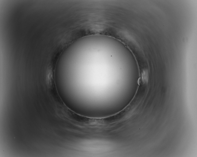 X0000089901299200707121842