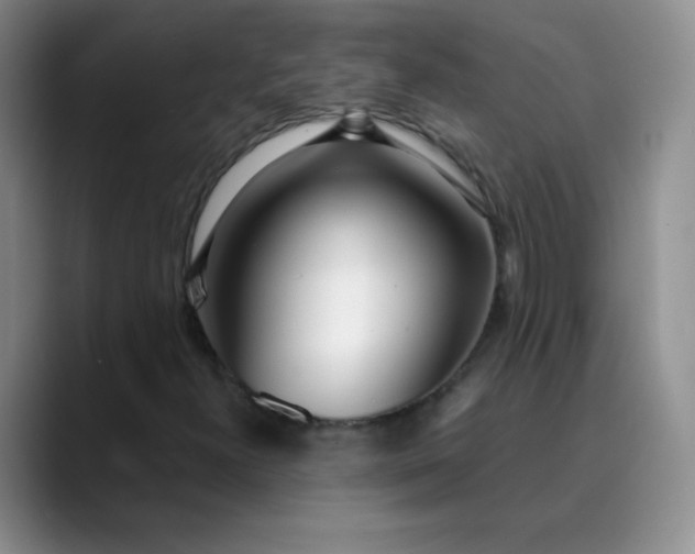 X0000089901300200707121842