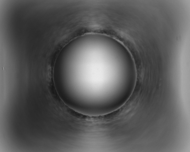 X0000089901301200707121842