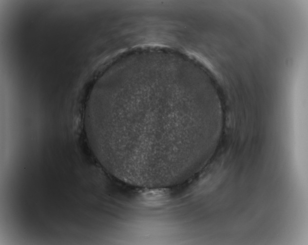 X0000089901303200707121842