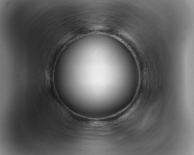 X0000089901305200707121842