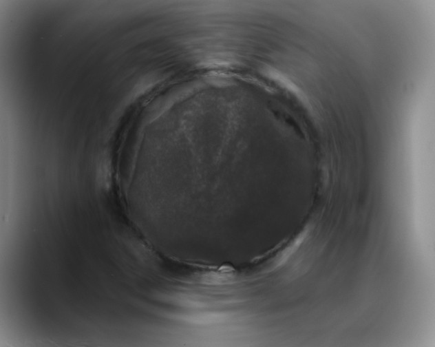 X0000089901306200707121842