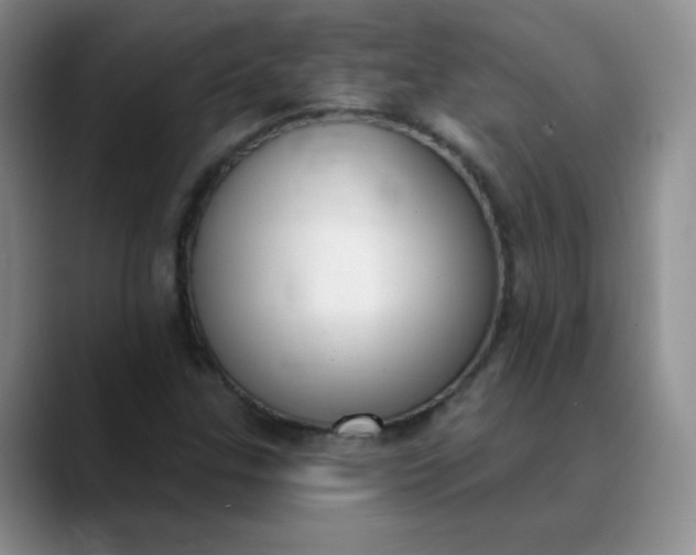 X0000089901307200707121842