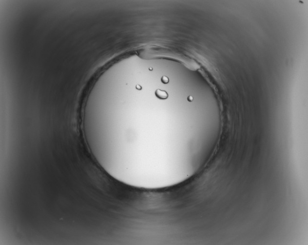 X0000089901308200707121842