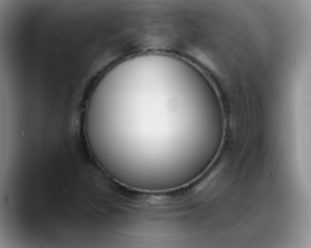 X0000089901309200707121842