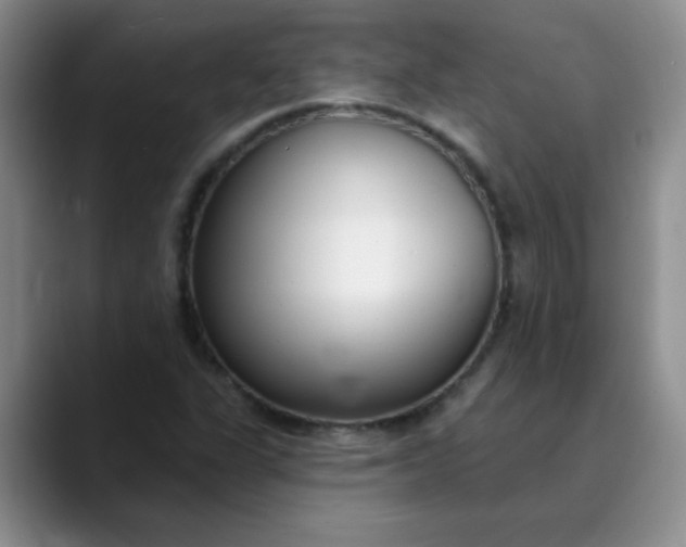 X0000089901311200707121842
