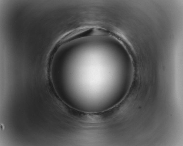 X0000089901312200707121842