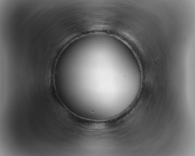 X0000089901313200707121842