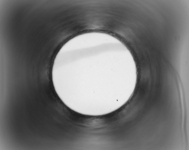 X0000089901314200707121842