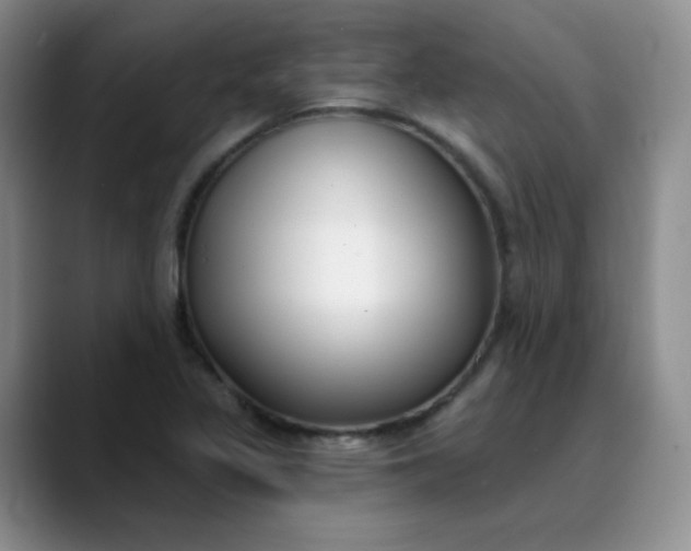 X0000089901317200707121842