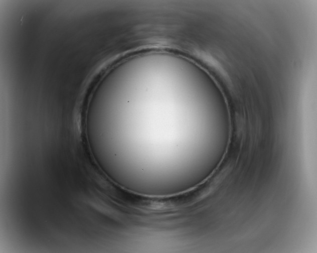 X0000089901318200707121842