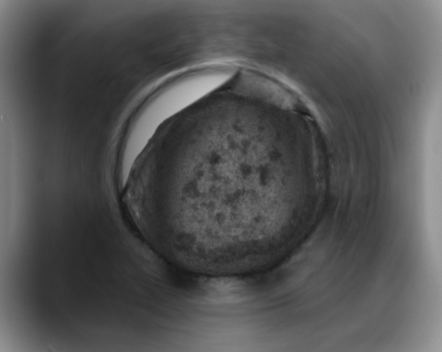X0000089901319200707121842
