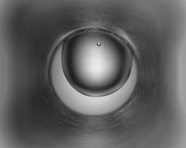 X0000089901320200707121842
