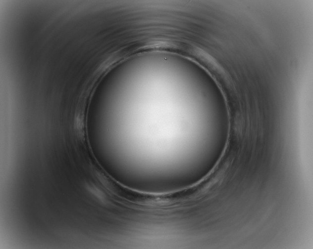 X0000089901321200707121842