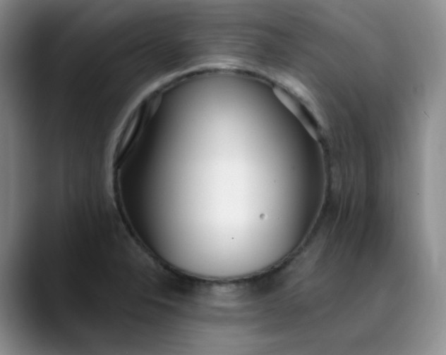 X0000089901326200707121842