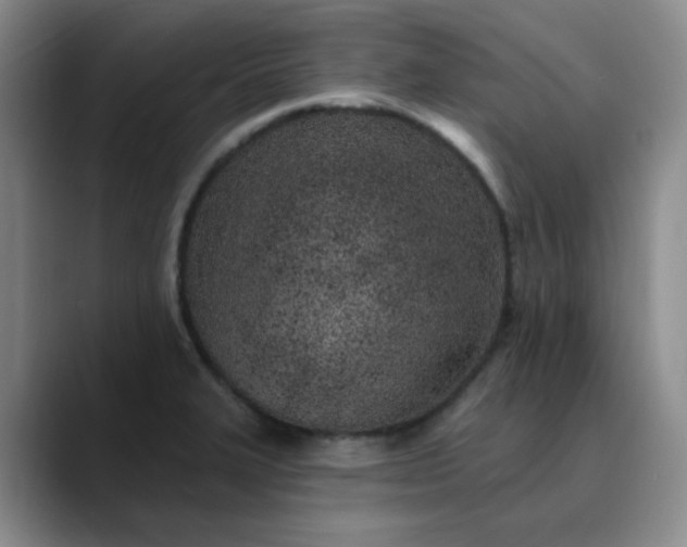X0000089901327200707121842