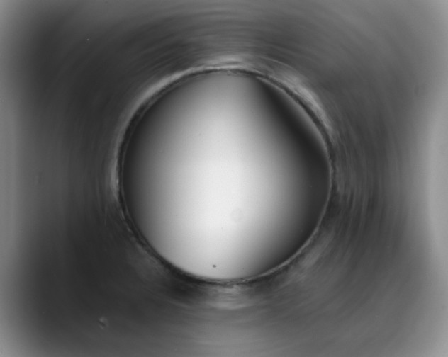 X0000089901328200707121842