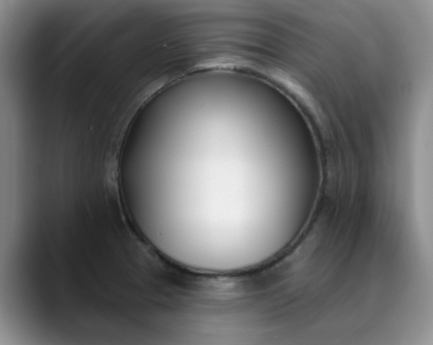 X0000089901329200707121842