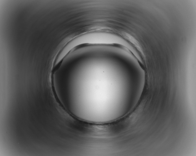 X0000089901330200707121842
