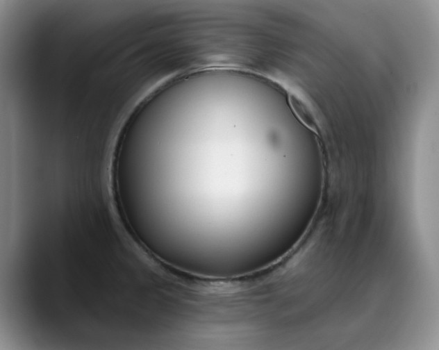 X0000089901333200707121842