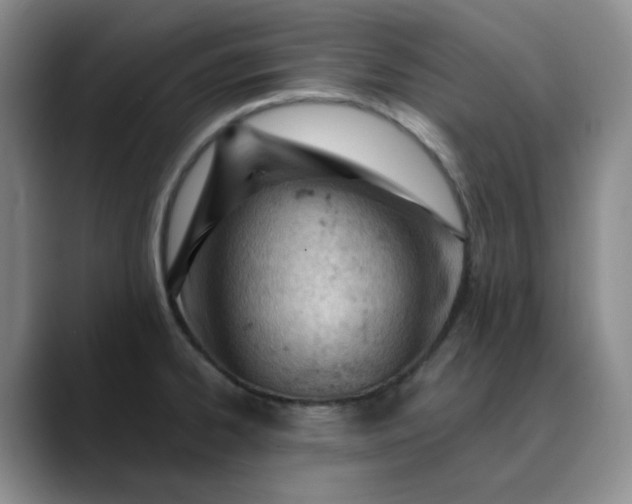 X0000089901334200707121842