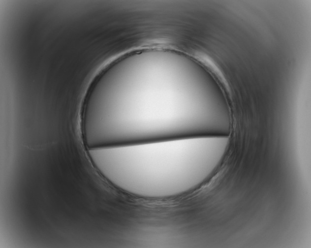 X0000089901336200707121842