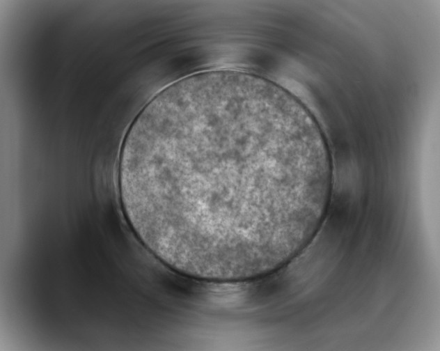 X0000089901338200707121842