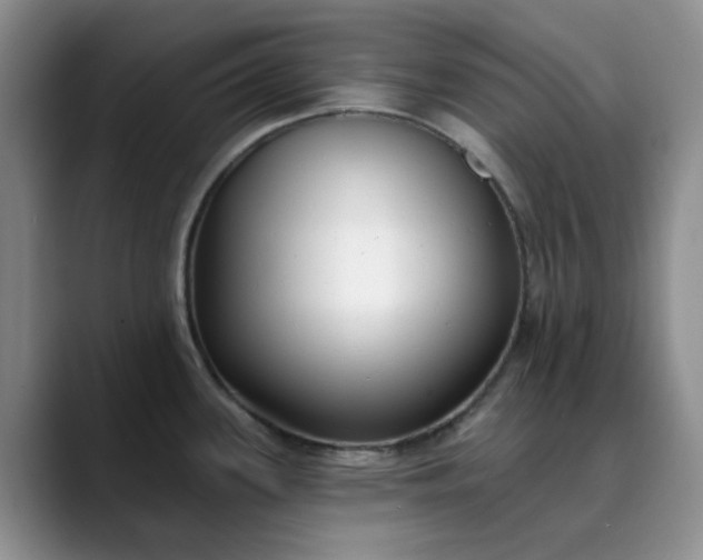 X0000089901339200707121842
