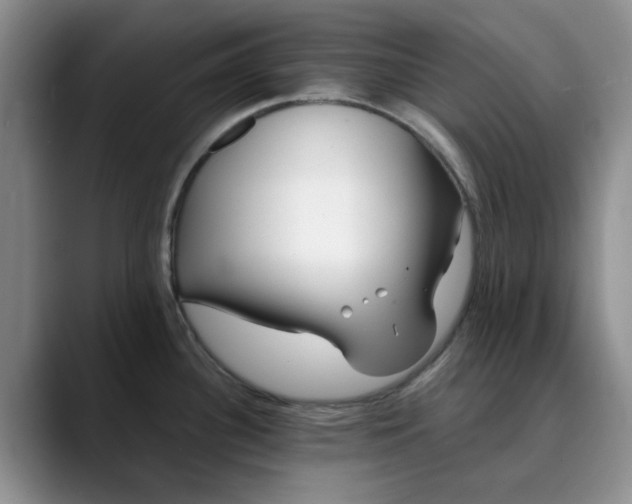 X0000089901340200707121842